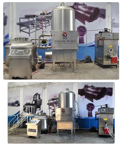 獼猴桃真空油炸機