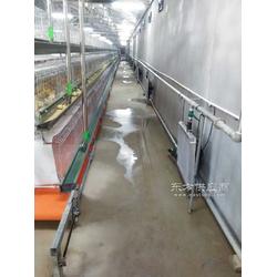 供應(yīng)育雛專用水暖風(fēng)機 雞舍加溫設(shè)備水暖爐配套暖風(fēng)機